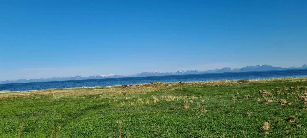 Solheim Guesthouse Dverberg Εξωτερικό φωτογραφία